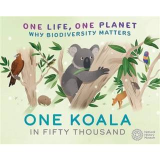 One Life, One Planet: One Koala in Fifty Thousand