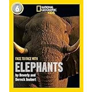 Face to Face with Elephants