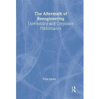 The Aftermath of Reengineering