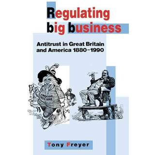 Regulating Big Business
