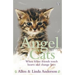 Angel Cats