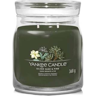 Yankee Candle Signature Medium Jar Silver Sage & Pine 368g