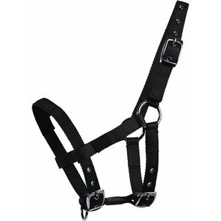 Waldhausen Mini Shetty Grime
