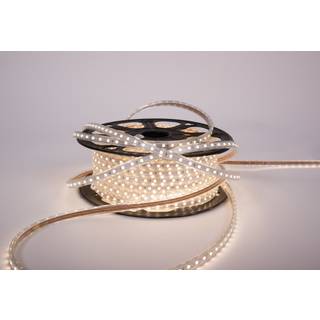 BLAST230 STRIPS 230V 4000K 50M