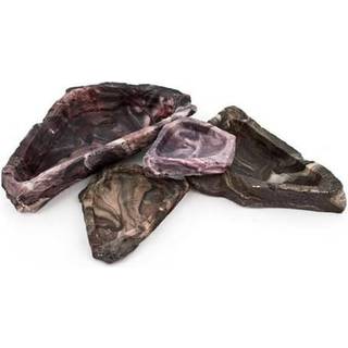 Flukers mad og vand krybdyr hj?rne sk?l x stor 12 """"