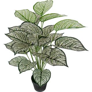 Kunstigt plante 80 cm - Flot Calathea med hvide og grønne blade