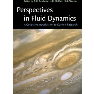 Perspectives in Fluid Dynamics