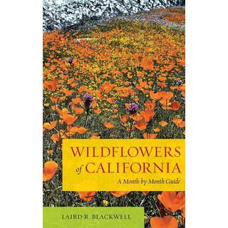 Wildflowers of California