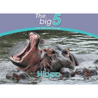 Hippo