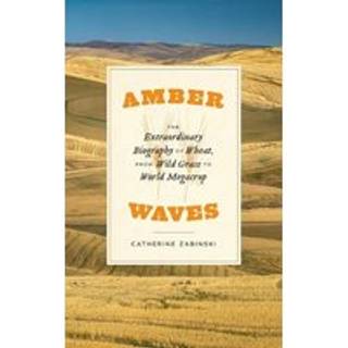 Amber Waves