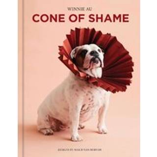 Cone of Shame