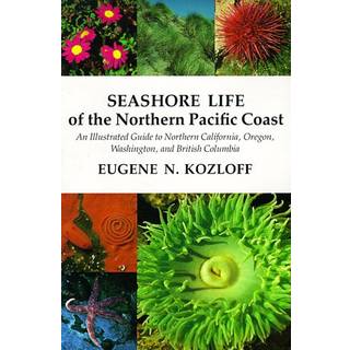 Seashore Life of the Northern Pacific Coast