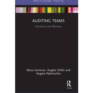 Auditing Teams