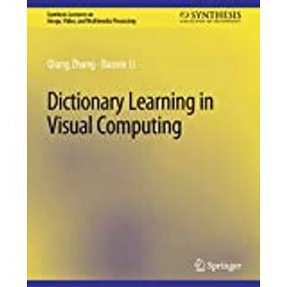 Dictionary Learning in Visual Computing