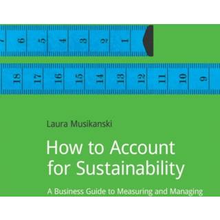 How to Account for Sustainability