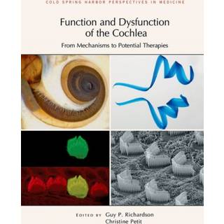 Function and Dysfunction of the Cochlea