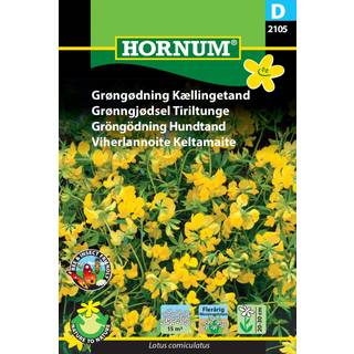 Kællingetand blomsterfrø flotte flerårige gule blomster - Grøngødning