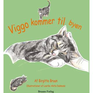 Viggo kommer til byen