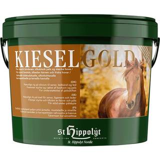Kieselgold - 4 kg