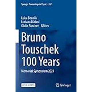 Bruno Touschek 100 Years