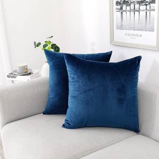 Nini Alle dekorative kastepude d?kker fl?jl 18x18 tommer pakke med 2 bl? pude d?kker bl?d til sofa sovev?relse stue udend?rs