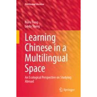 Learning Chinese in a Multilingual Space