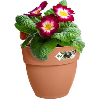 Rund altankasse - Vibia Campana - Terra