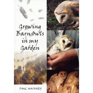 Growing Barn Owls in My Garden