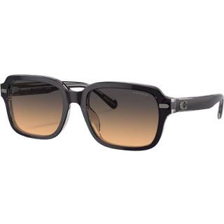 Coach HC8388U CL914 5745L7 56 Solbriller Mænd Grå - Transparent Dark Grey on Light Grey - 56mm
