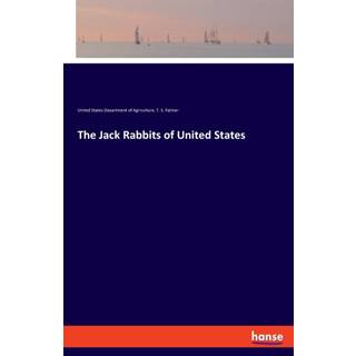 The Jack Rabbits of United States