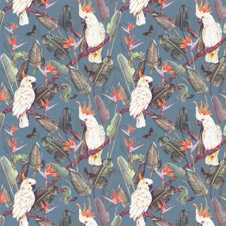 Isabelle Boxall Wallpaper Birds of Paradise IB5014