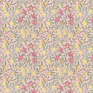 Fruit Stardust - AARC510010