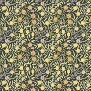 Fruit Twilight - AARC510019