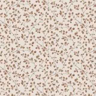 Bokskog - Terracotta