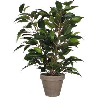 Ficus Natasja plante kunstig