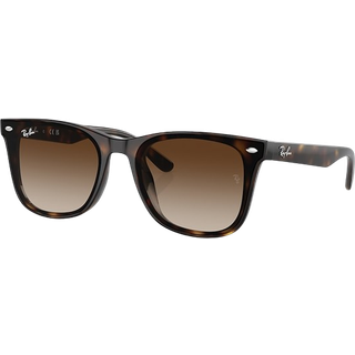 Ray - Ban Unisex RB4420 710/13 Solbriller Injiceret Skildpadde Brun Firkantet Normal Skygge