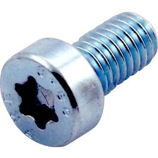 Cubic 100 cylinderskrue, torx