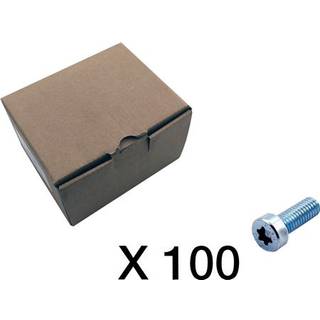 100 Cylinderskrue, Torx Cubic