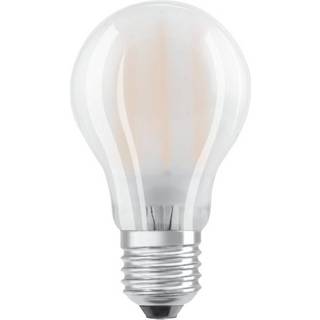 OSRAM LED LAMP RUND MATTE (75) BOX