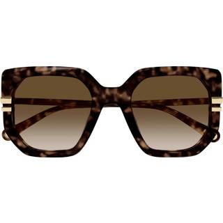 Chloé Kvinde Chloé CH0240S 002 Solbriller Acetat Havana Brun Sommerfugl