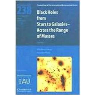 Black Holes (IAU S238)