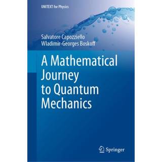 A Mathematical Journey to Quantum Mechanics