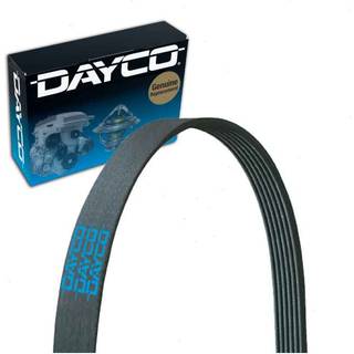 Dayco 5040338 Belt