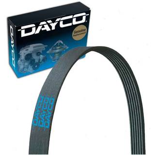 Dayco 5050445 Serpentine Belt Black