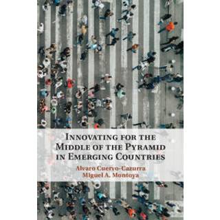 Innovating for the Middle of the Pyramid in Emerging Countries
