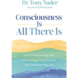 Consciousness Is All There Is