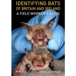 Identifying Bats of Britain and Ireland