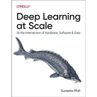 Deep Learning at Scale