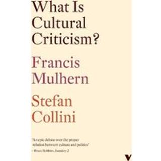 What Is Cultural Criticism?