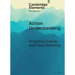 Action Understanding